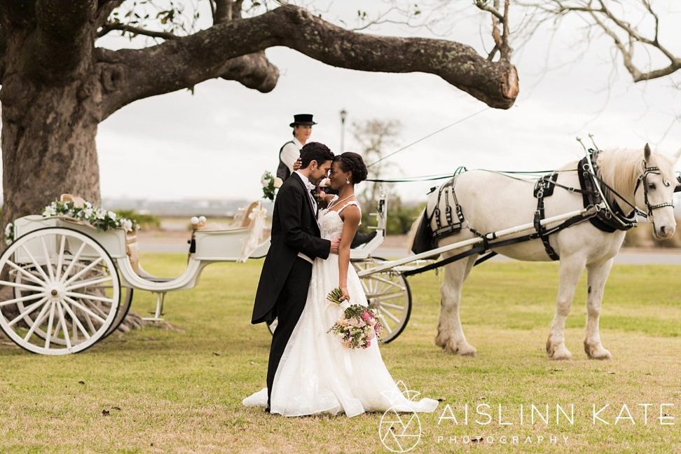 A horse and carriage at the Barkley House